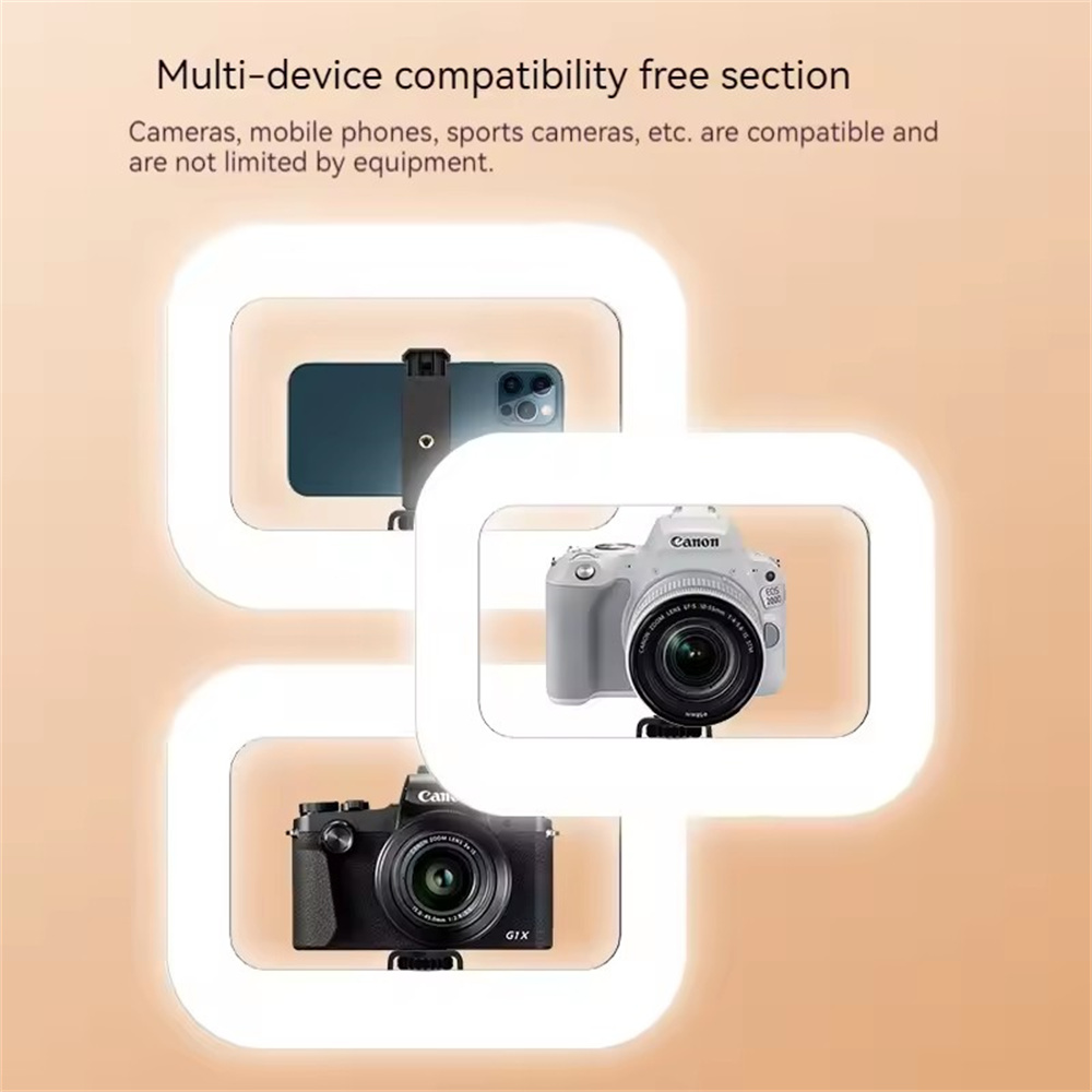 Roreta Smartphone Video Rig :  - Photography Lighting Rig avis et prix